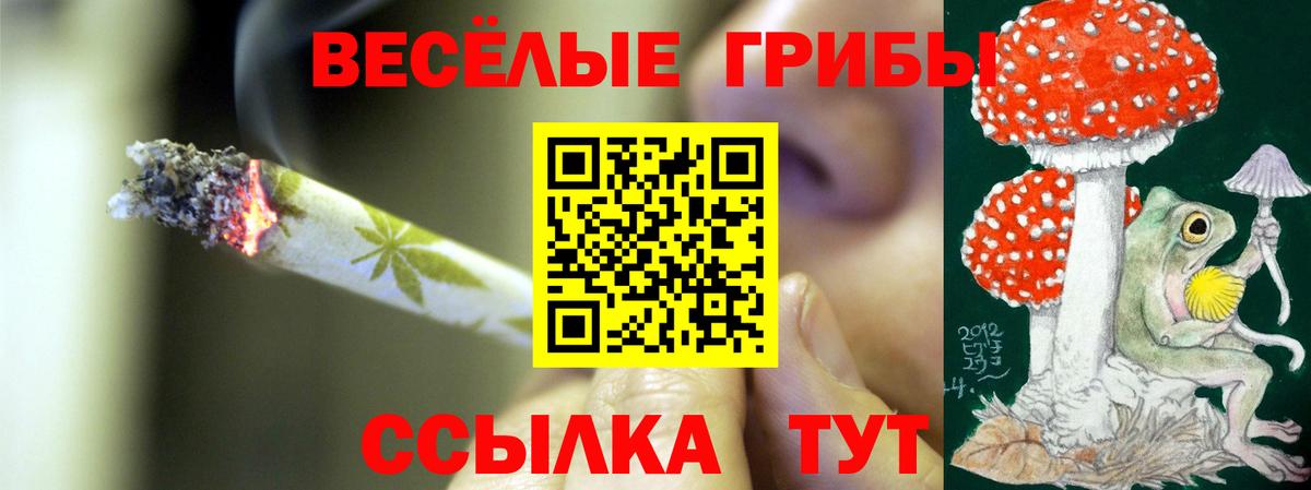 Галлюциногенные грибы Psilocybe  Вход с VPN  Обь 