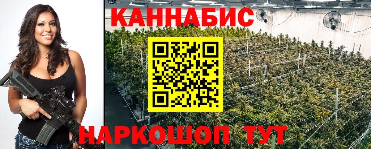 Канабис OG Kush  Бошки марихуана сатива  Конопля White Widow  Вход с VPN  Обь  Бошки Шишки OG Kush 